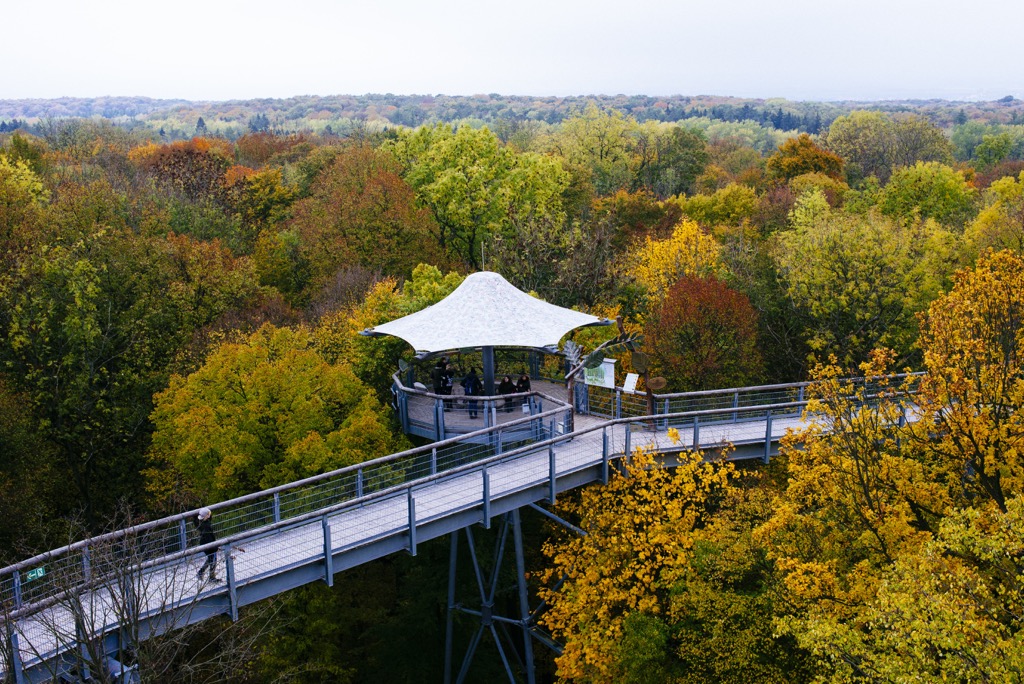  Hainich National Park, Germany