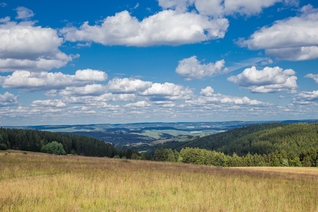 Hainich National Park, Germany