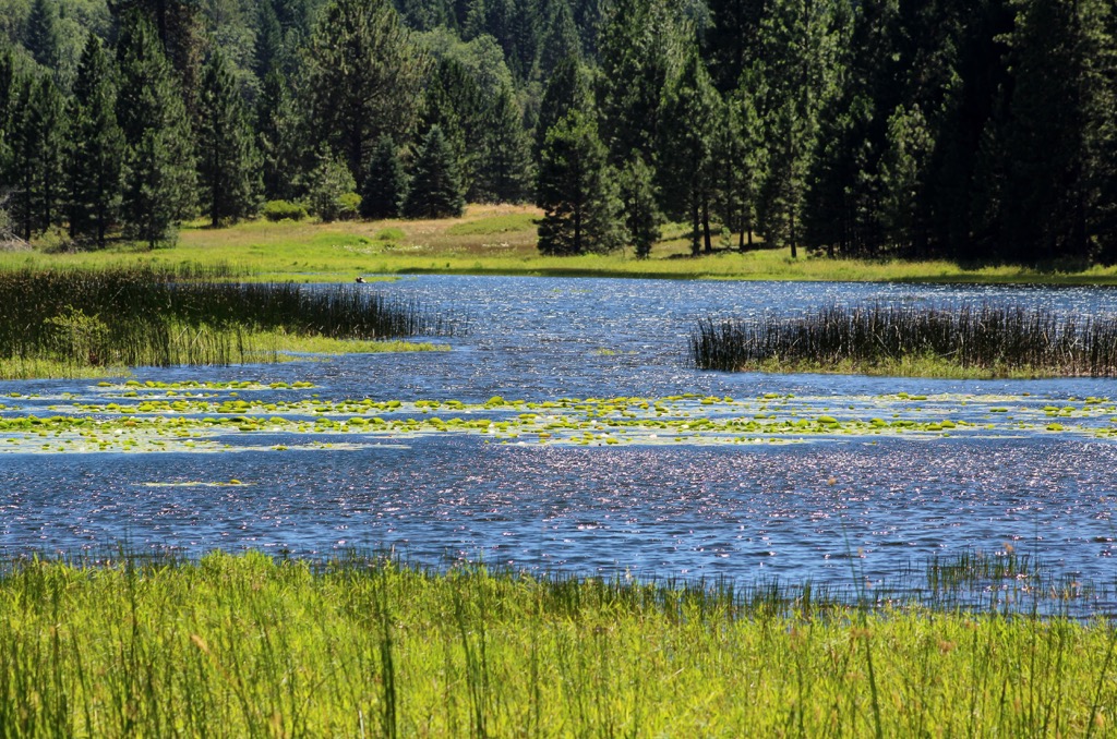 Hammond Pond Wild Forest, New York