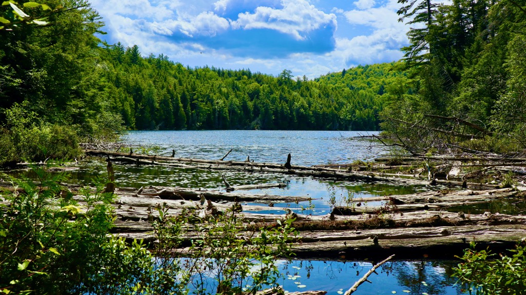 Hammond Pond Wild Forest, New York