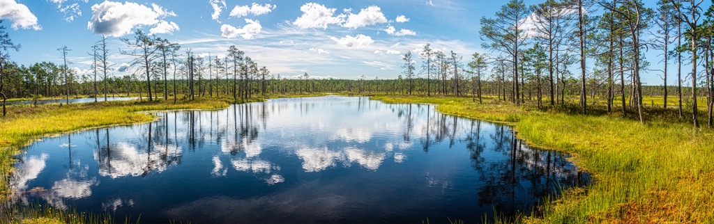 Harju County, Estonia