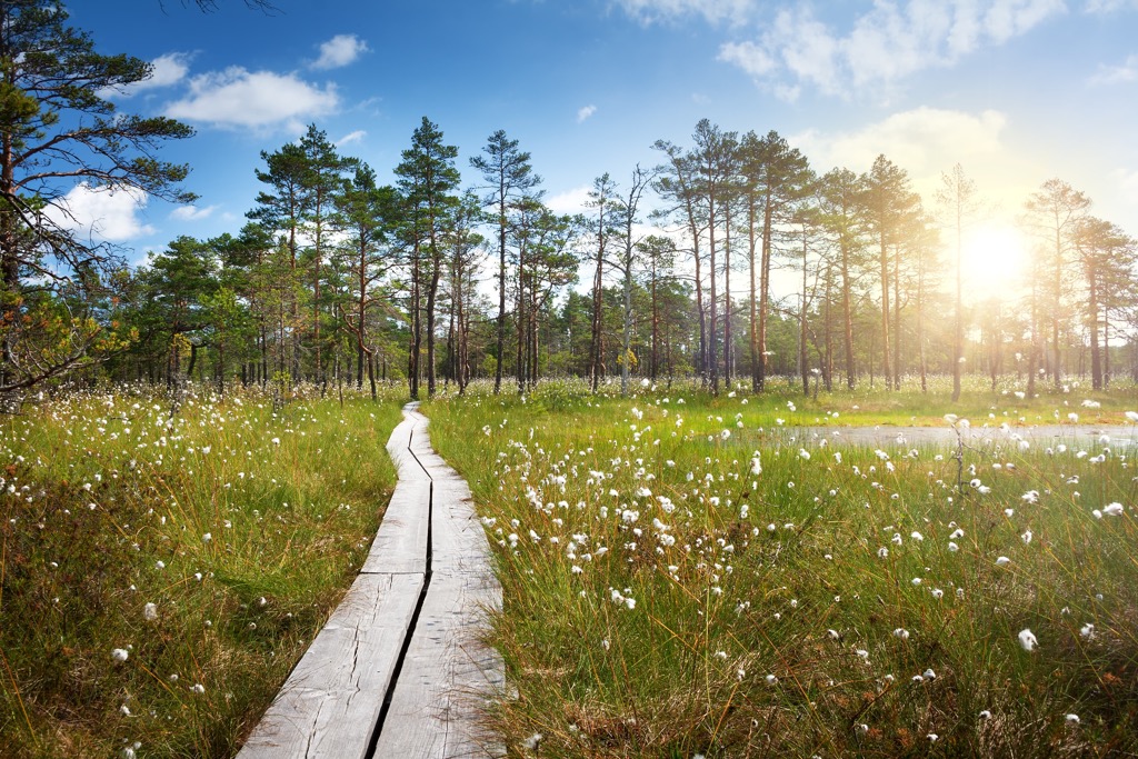 Harju maakond Mountains