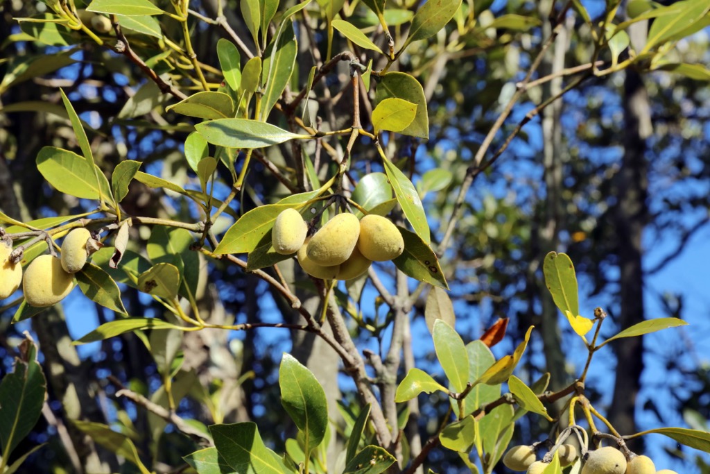 Hat Head National Park, Australia