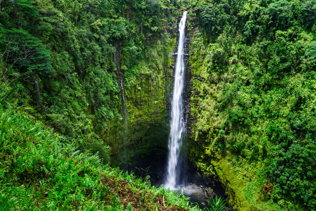 Akaka Falls. Hawaii County