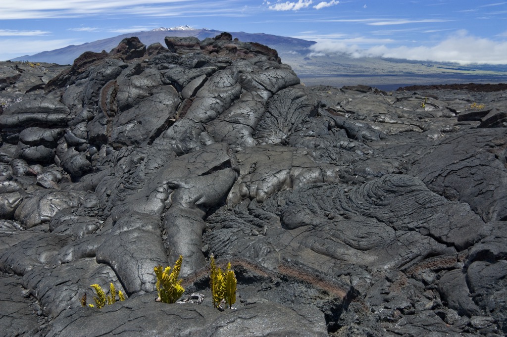 Hardened lava flows define much of the island around Mauna Kea. Hawaii County