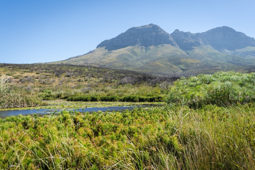 Helderberg Nature Reserve. Helderberg Nature Reserve