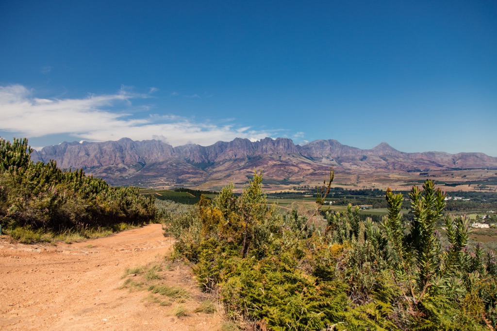 The Helderberg Mountains—and the greater Hottentots-Holland range—are defined by dramatic cliffs and sharp ridges. Helderberg Nature Reserve