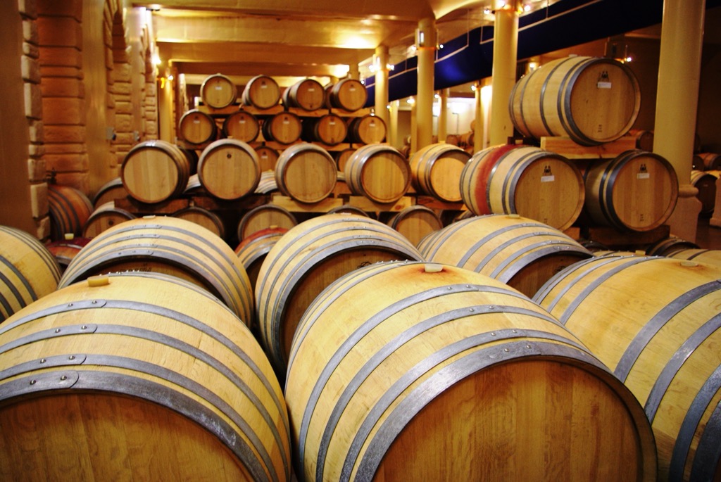 Barrels of wine aging in a Stellenbosch cellar. Helderberg Nature Reserve