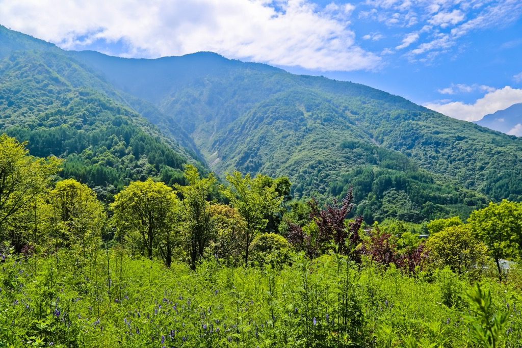 Wolong National Nature Reserve, Hengduan Mountains, China