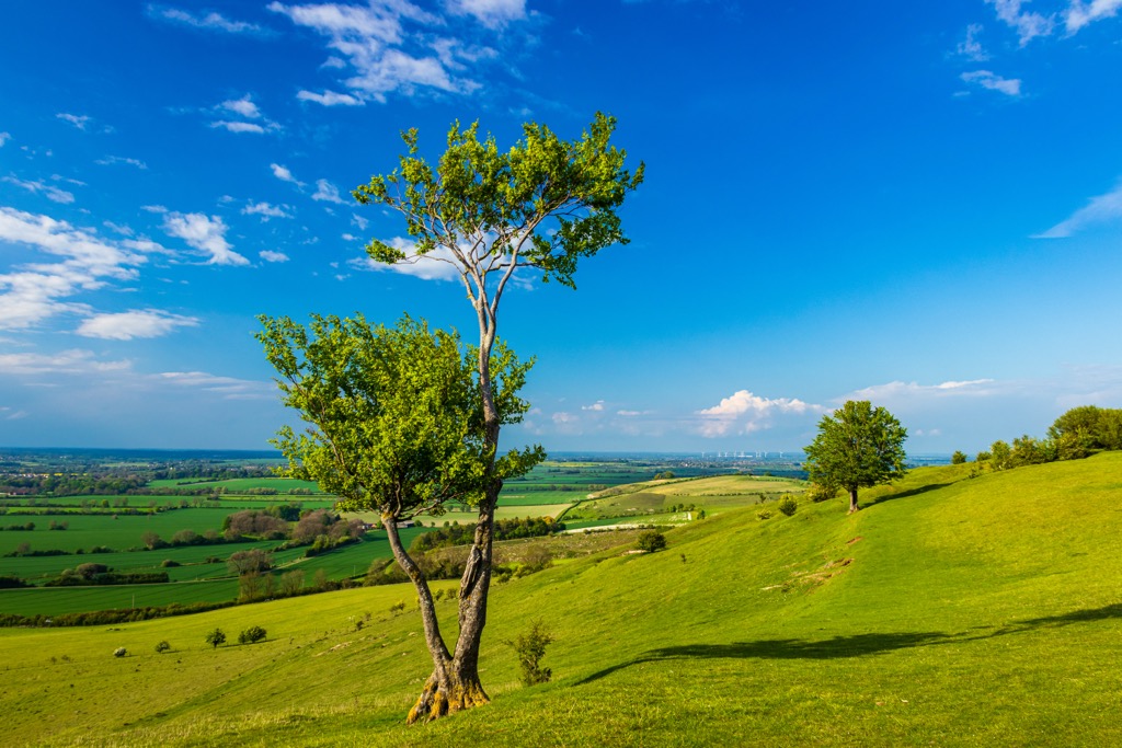 The view from the slopes of Deacon Hill. Hertfordshire