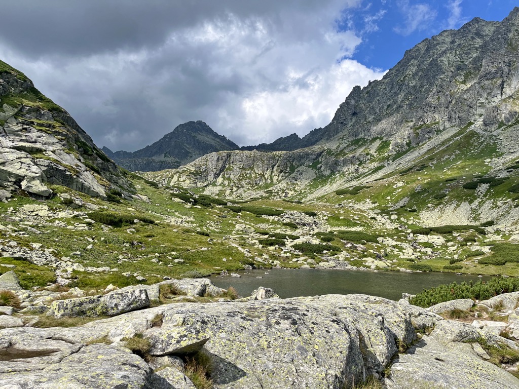 Alpine grasslands below Štrbsky Štit in Mlynicka Dolina. High Tatras