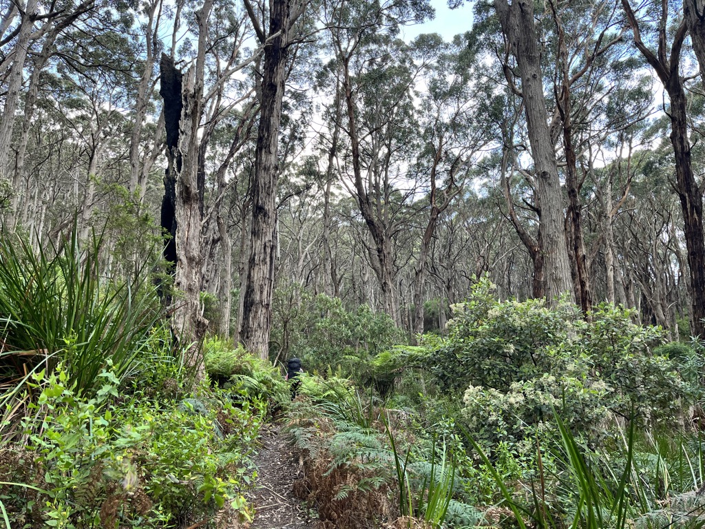 A moment atop the ridge. Photo: Sergei Poljak. Hiking in Wilson’s Promontory