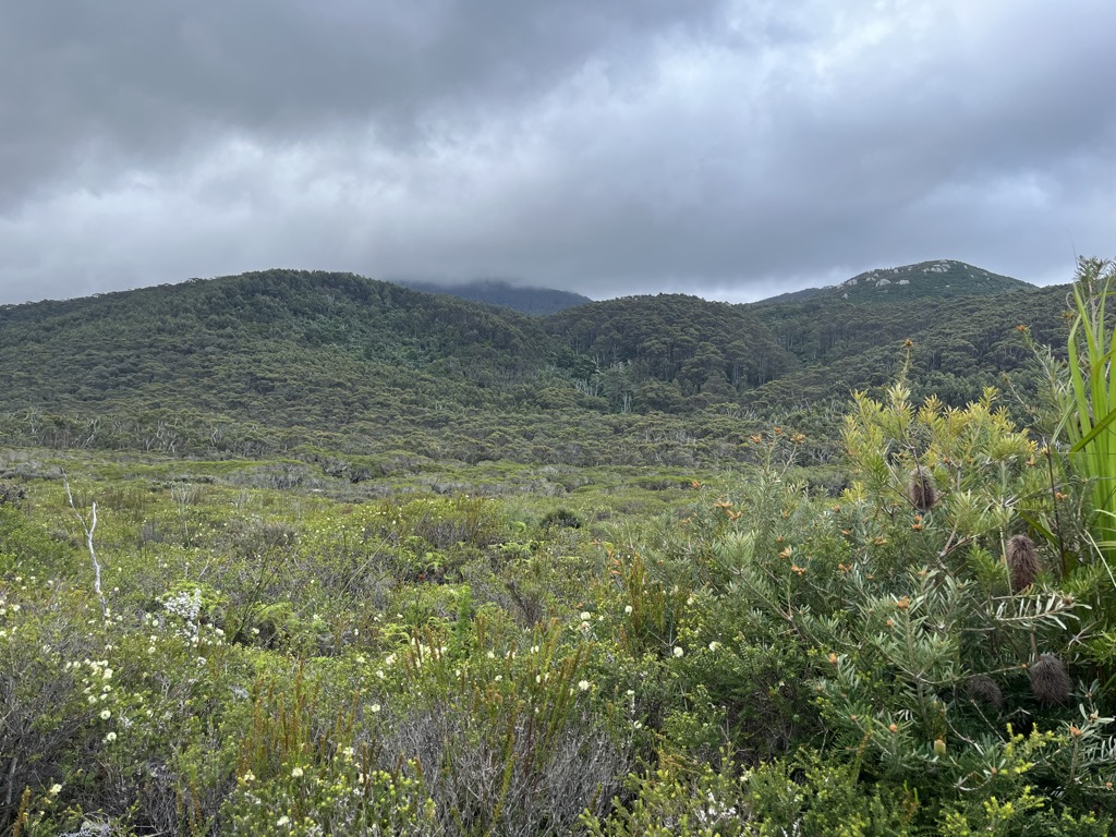 a beautiful wetland inland from Waterloo Bay Photo: Sergei Poljak