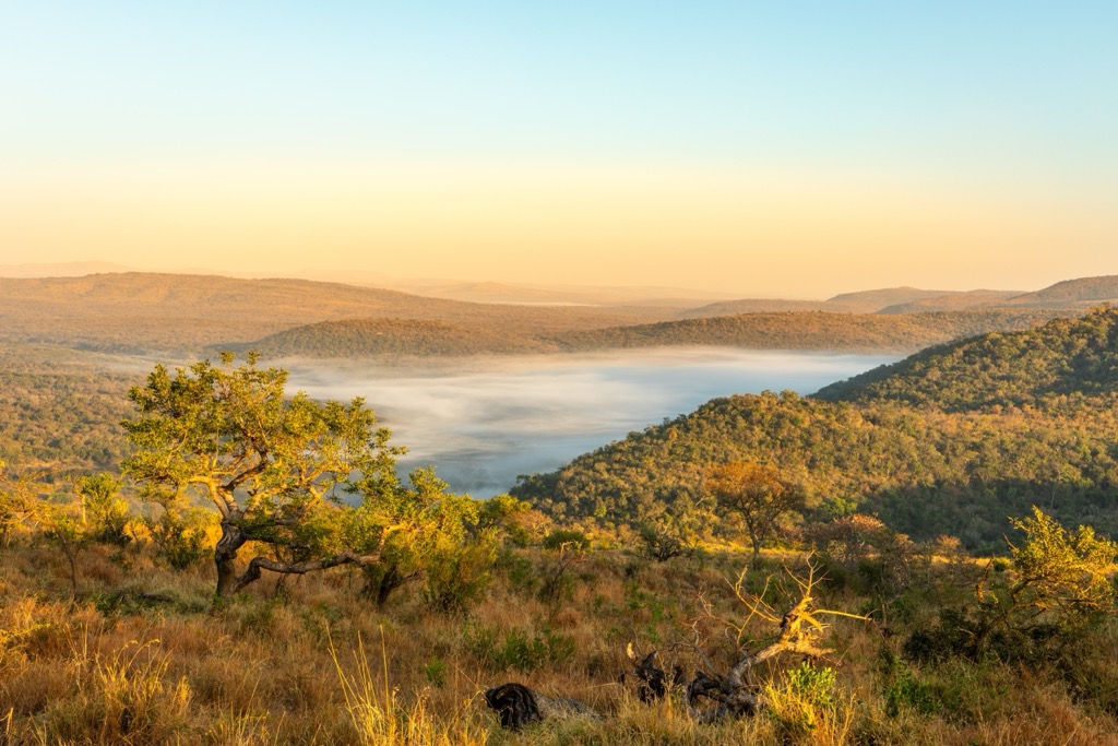 Fog in Hluhluwe-iMfolozi forms when cooler air sinks into the valleys, with warmer air at altitude. Hluhluwe iMfolozi Park