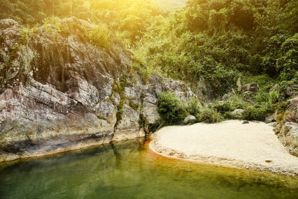 Jungle of the park’s valley floor in Sa Pa, Vietnam. Hoàng Liên National Park