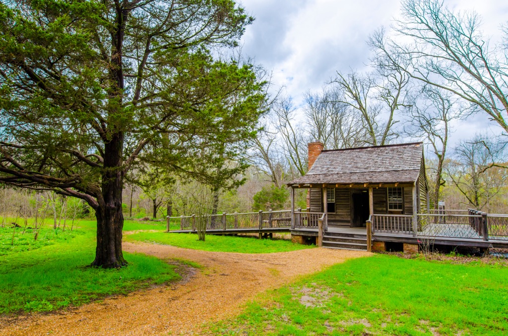 Holly Springs National Forest