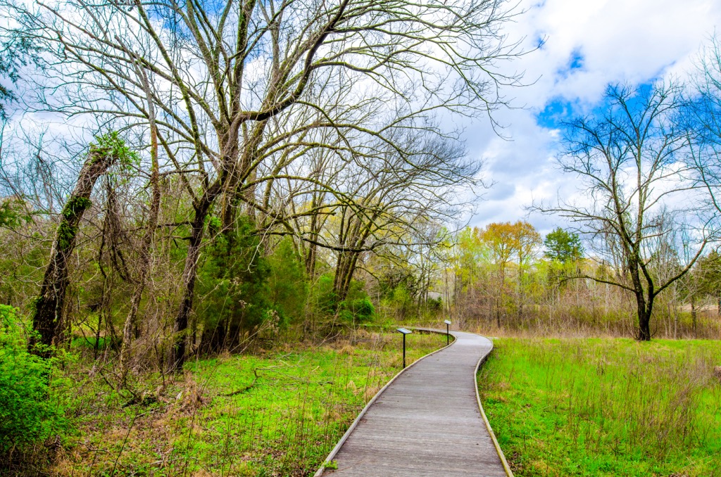 Holly Springs National Forest