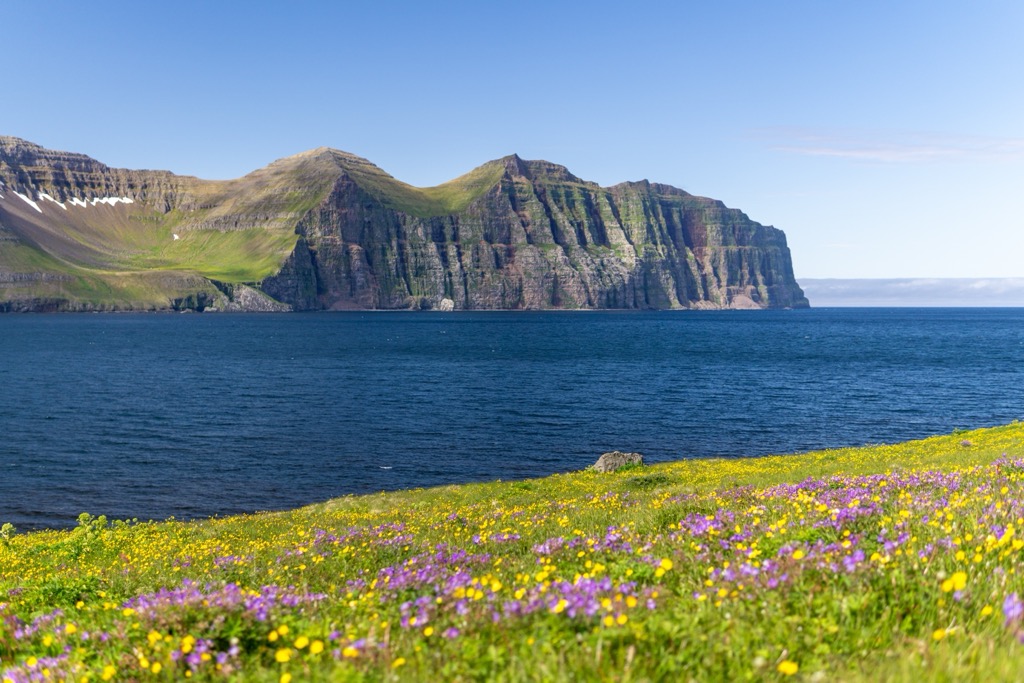 The view of the Hælavíkurbjarg cliffs from near Hornbjarg. Hornstrandir