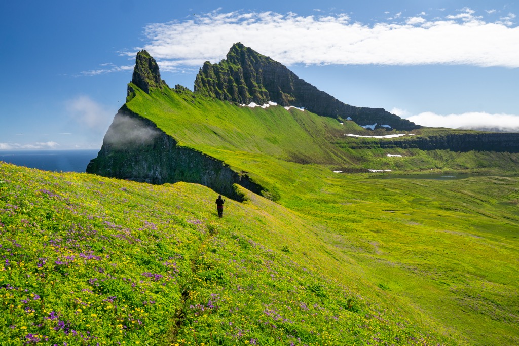 Hornbjarg is among the most spectacular cliffs in Iceland. Hornstrandir