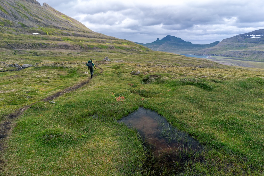 Trails in Hornstrandir can be difficult to follow, especially after snowfall, so plan your route carefully. Hornstrandir