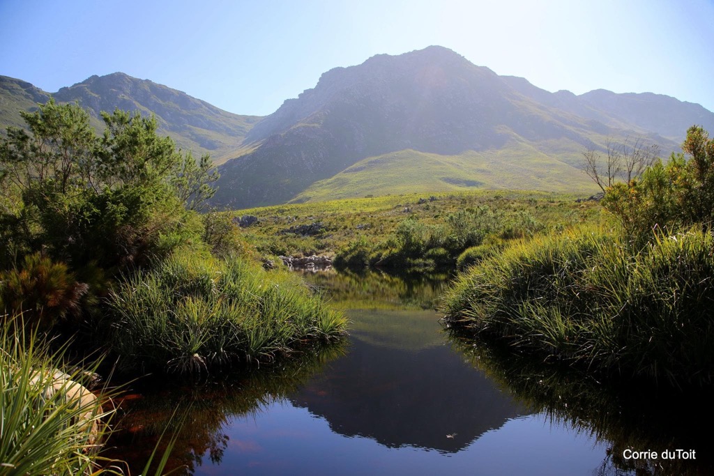 The Palmiet River. Hottentots-Holland