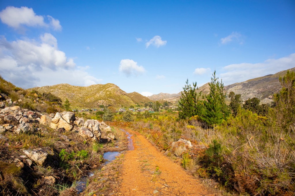 Mediterranean scrub in the Hottentots-Holland. Hottentots-Holland