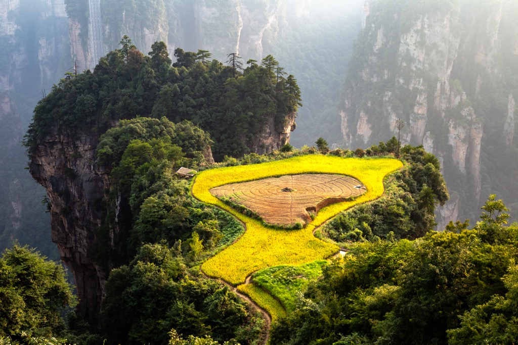 A rice terrace known as the “air garden” in Wulingyuan National Park. Hunan