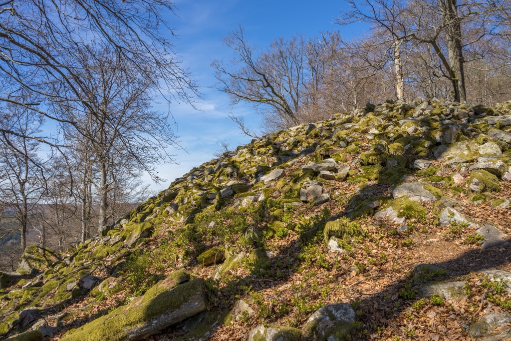Hunsrück-Hochwald National Parkt, Germany
