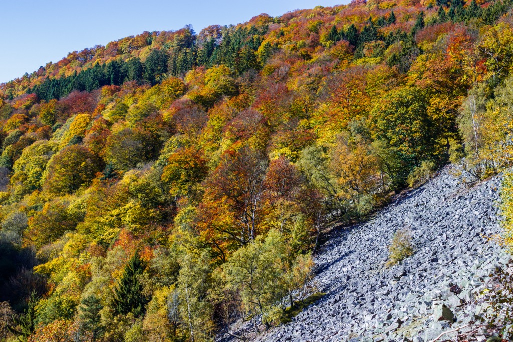 Hunsrück-Hochwald National Parkt, Germany