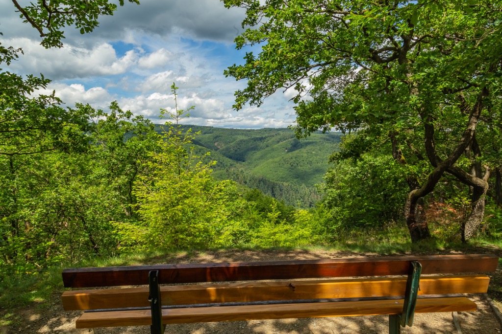 Hunsrück-Hochwald National Parkt, Germany