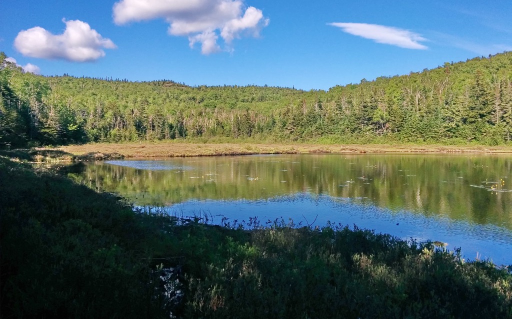 Hurricane Mountain Wilderness, New York