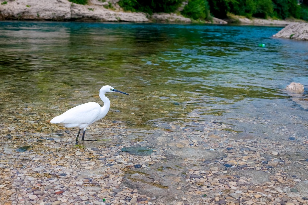 Hutovo Blato Nature Park, Bosnia and Herzegovina