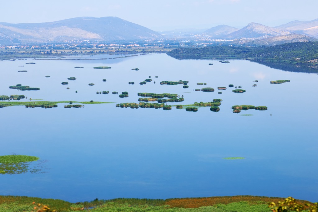 Hutovo Blato Nature Park, Bosnia and Herzegovina