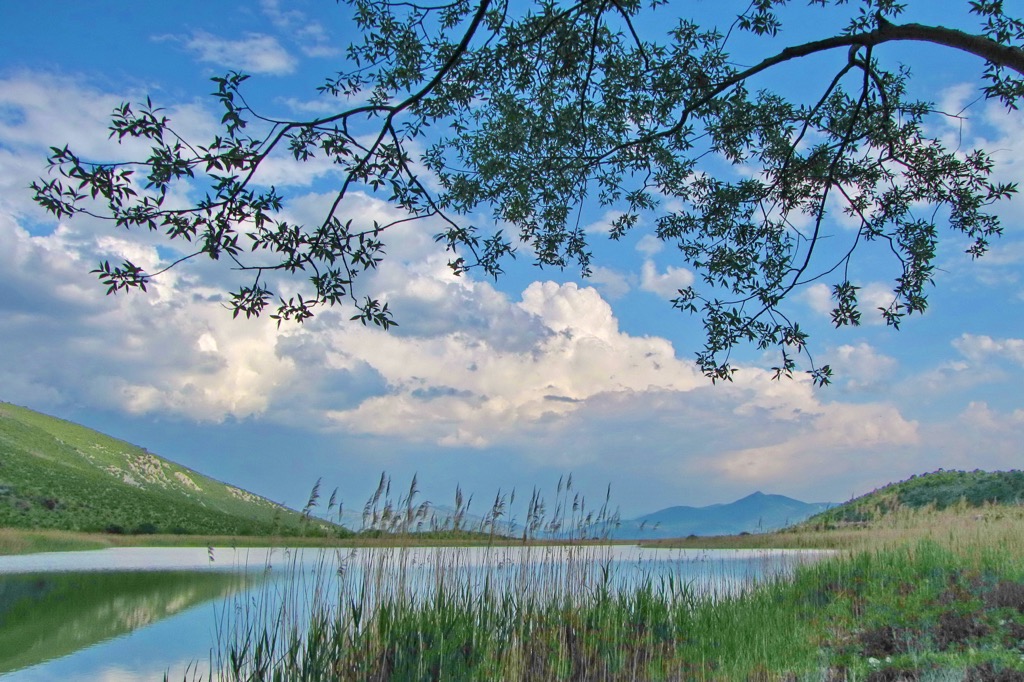 Hutovo Blato Nature Park, Bosnia and Herzegovina