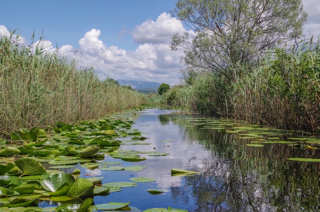 Hutovo Blato Nature Park, Bosnia and Herzegovina