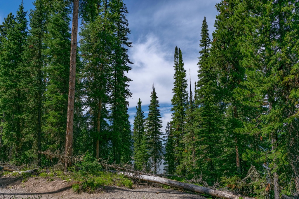 Hyalite-Porcupine-Buffalo Horn Wilderness Study Area, Montana