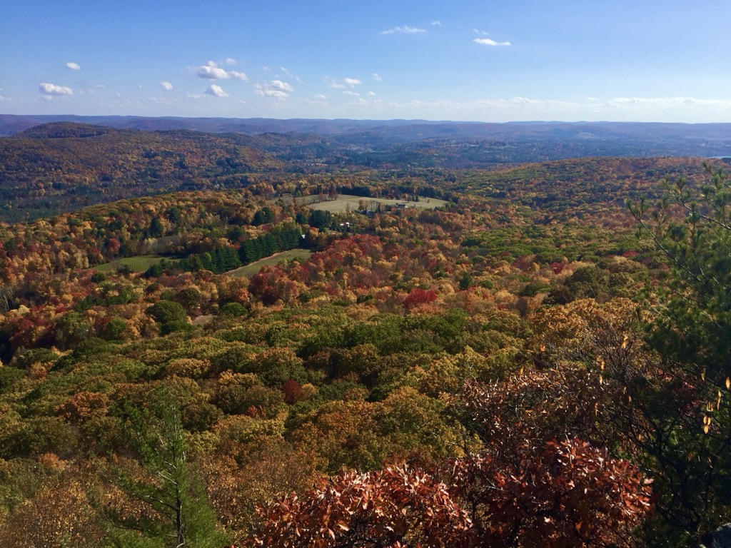 Fall Foliage in the USA