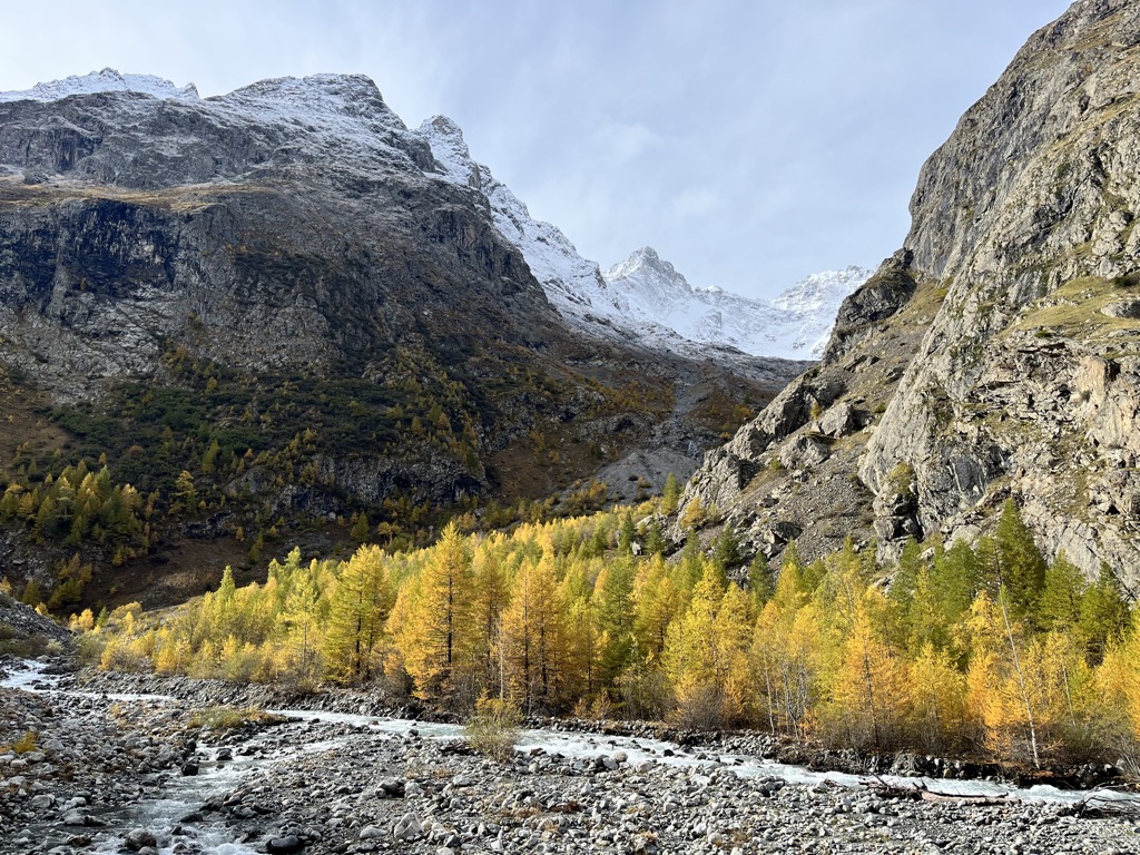 Larch contrasting with snowy peaks in the Parc National des Écrins. Photo courtesy of 
  Sergei Poljak/PeakVisor. Fall Foliage in Europe