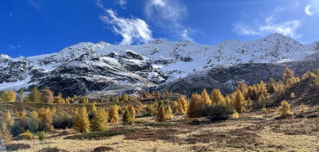 The snow almost reached treeline…but not quite. Photo courtesy of Sergei Poljak/PeakVisor. Fall Foliage in Europe