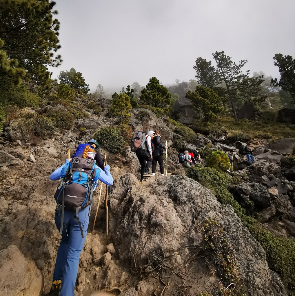 Into the cloud forest. Photo: Anthony Butt. Trekking in Guatemala