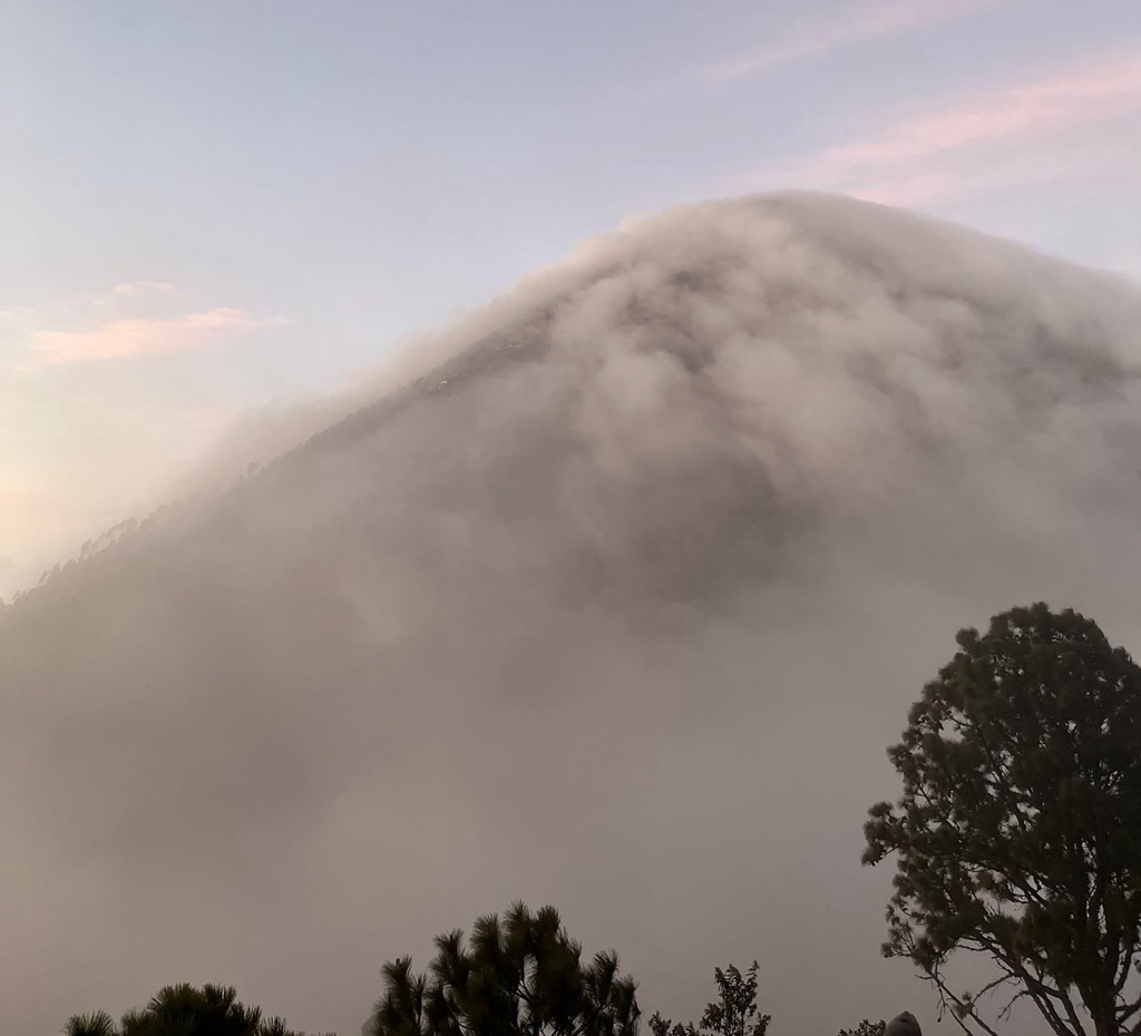 I’m not kidding when I say cloud forest. Photo: Anthony Butt. Trekking in Guatemala