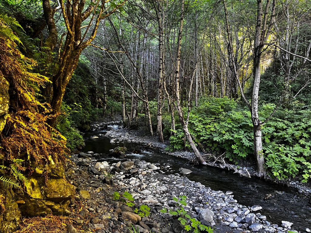 Gitchell Creek in the aura of the setting sun. Photo: Sergei Poljak. Backpacking California’s Lost Coast Trail