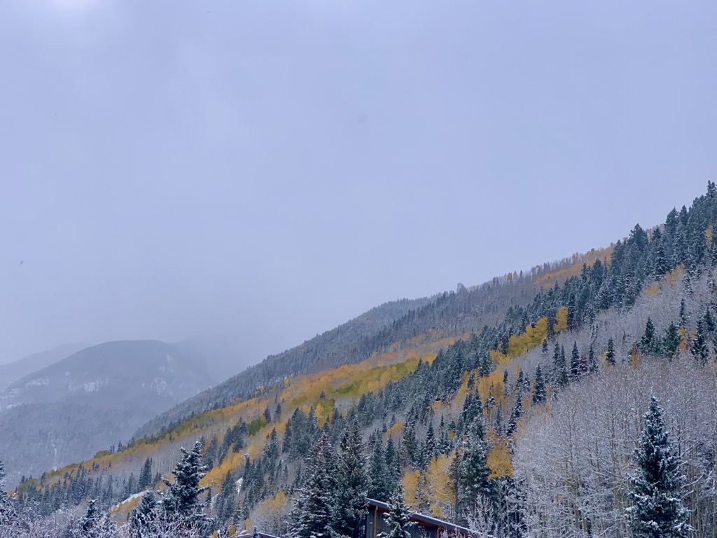 Fall Foliage in Europe