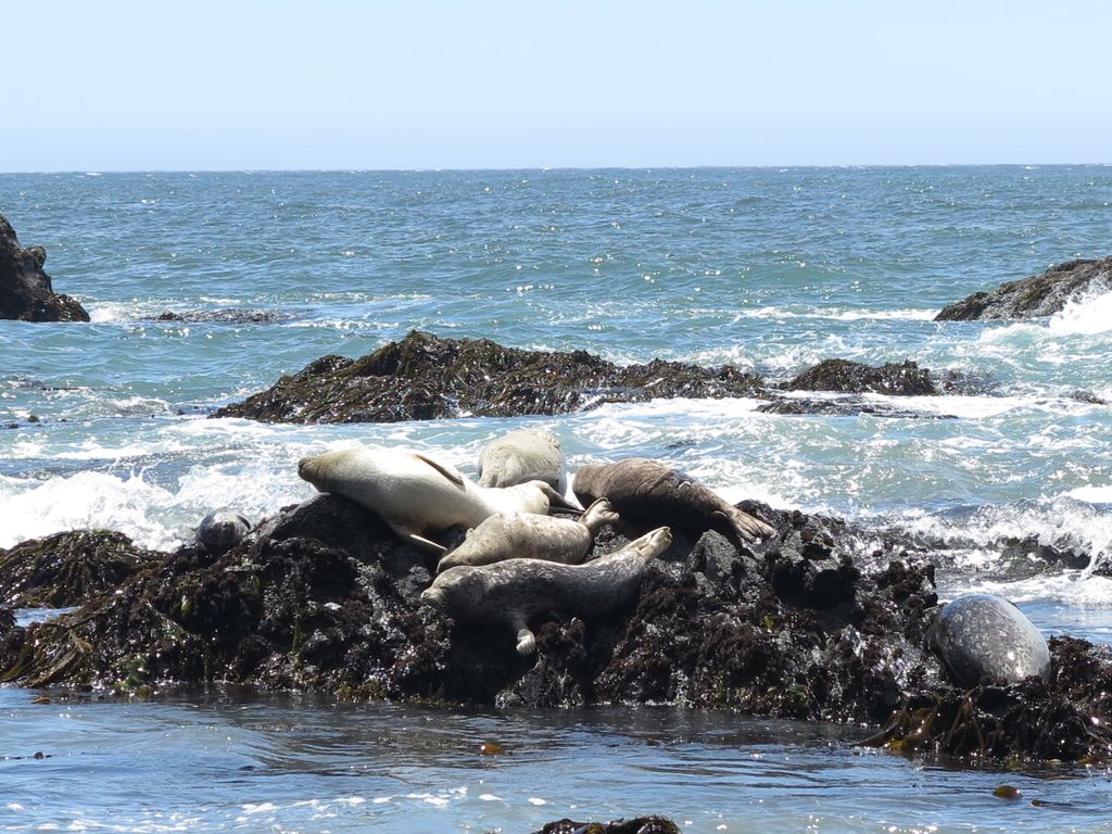 Photo: Anna Lochhead. Backpacking California’s Lost Coast Trail