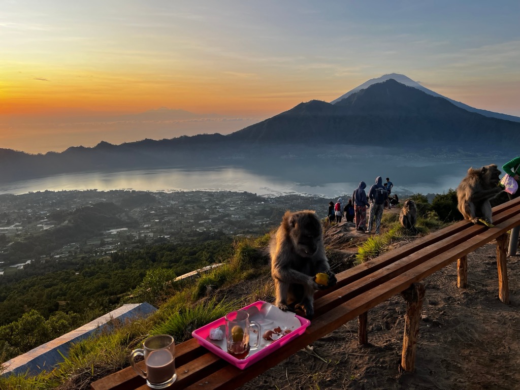 Sunrise with monkeys, Gunung Batur in Bali, Indonesia
