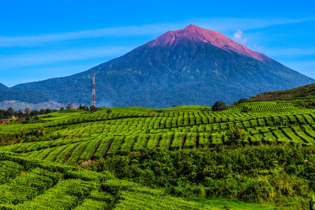 Gunung Kerinci, Greater Sunda Islands,  Indonesia