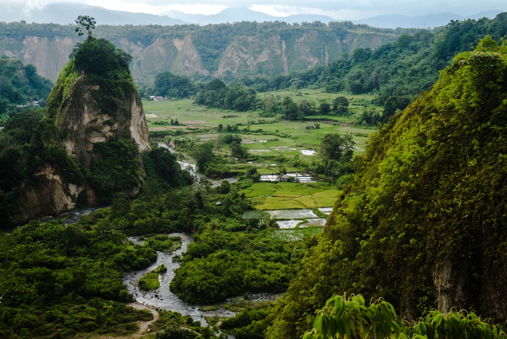 rainforests of Sumatra near Bukitinggi,  Indonesia