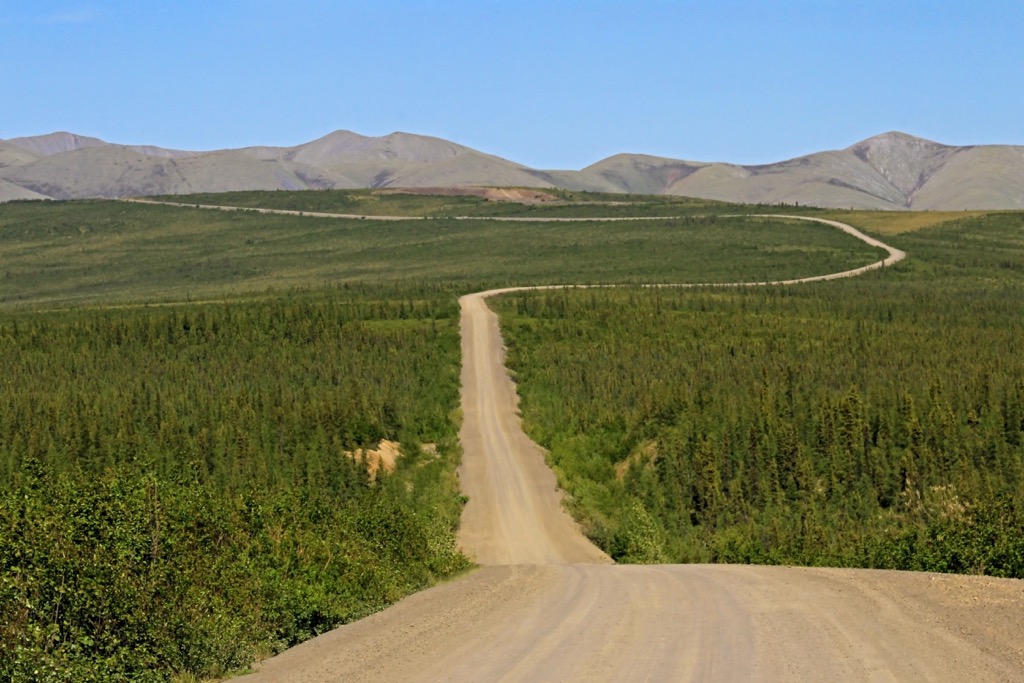 snow fence in the midnight sun, Demster highway available as