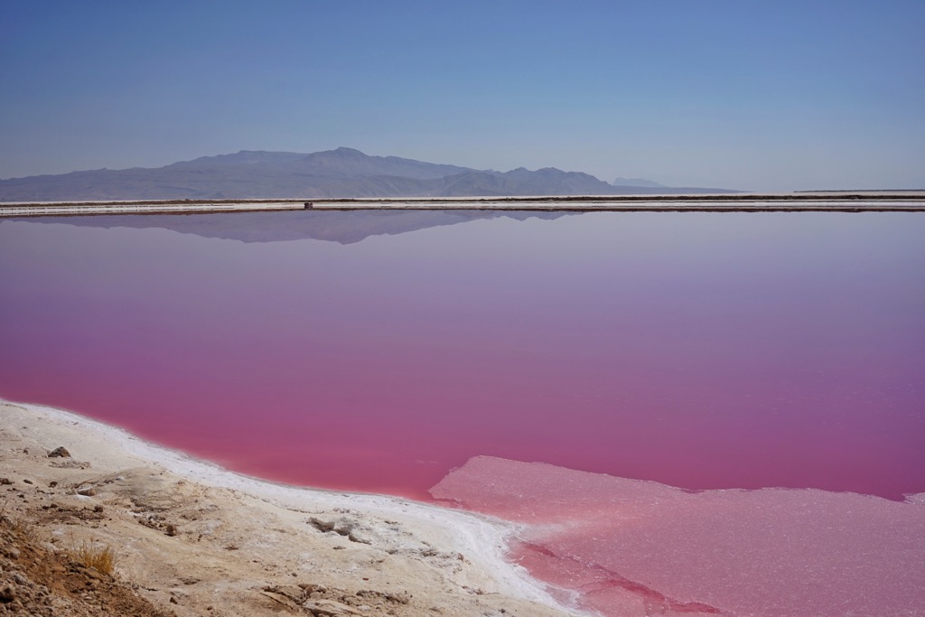 Maharlu lake, pink lake, Shiraz, Iran, Iran