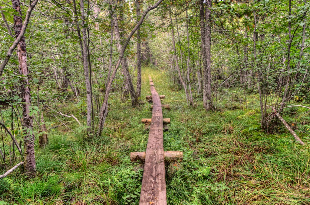 Isle Royale National Park, Michigan